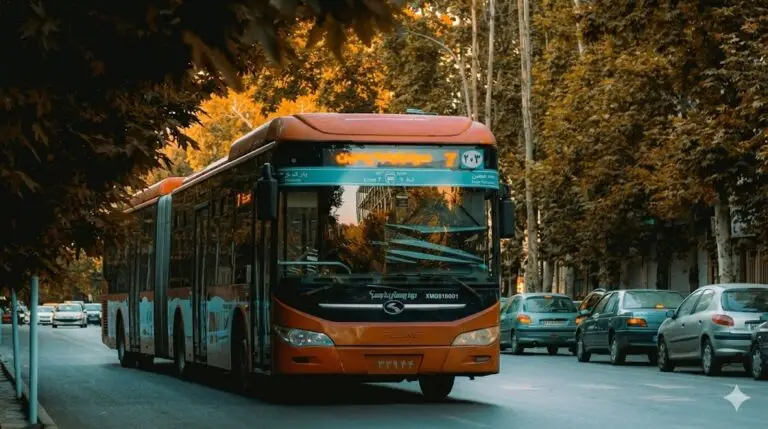 BUS