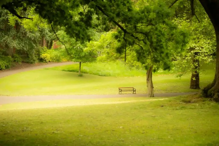 PARK